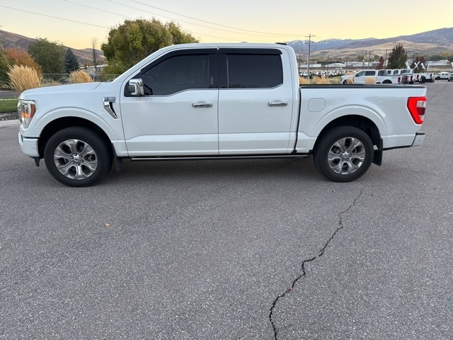 2021 Ford F-150 Platinum photo 2