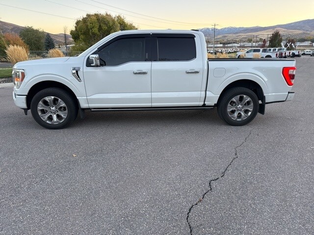 2021 Ford F-150 Platinum photo 2