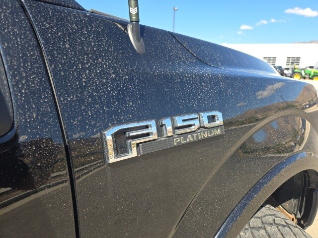 2018 Ford F-150 Platinum photo 3