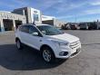 Used 2019 Ford Escape SEL SUV