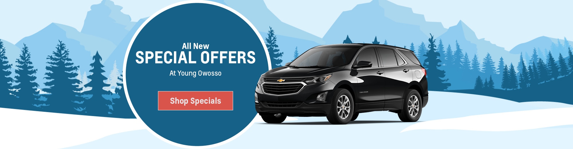 Young Owosso Car Dealers in Owosso, MI