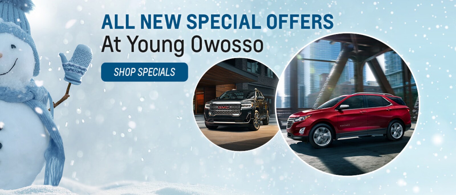 Young Owosso Car Dealers in Owosso, MI