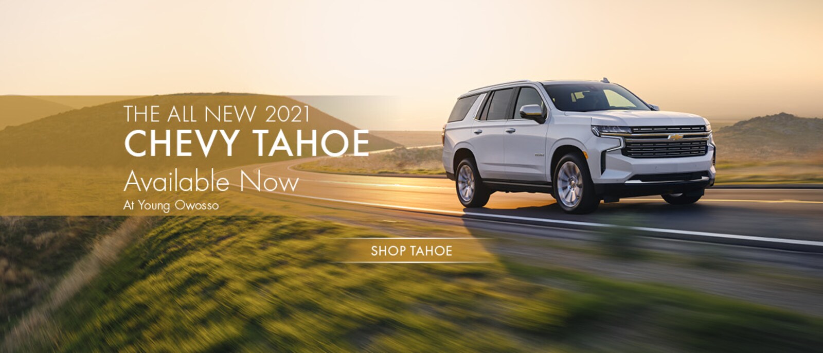 Young Owosso Car Dealers in Owosso, MI