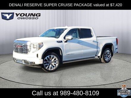 2025 GMC Sierra 1500 Denali Truck Crew Cab