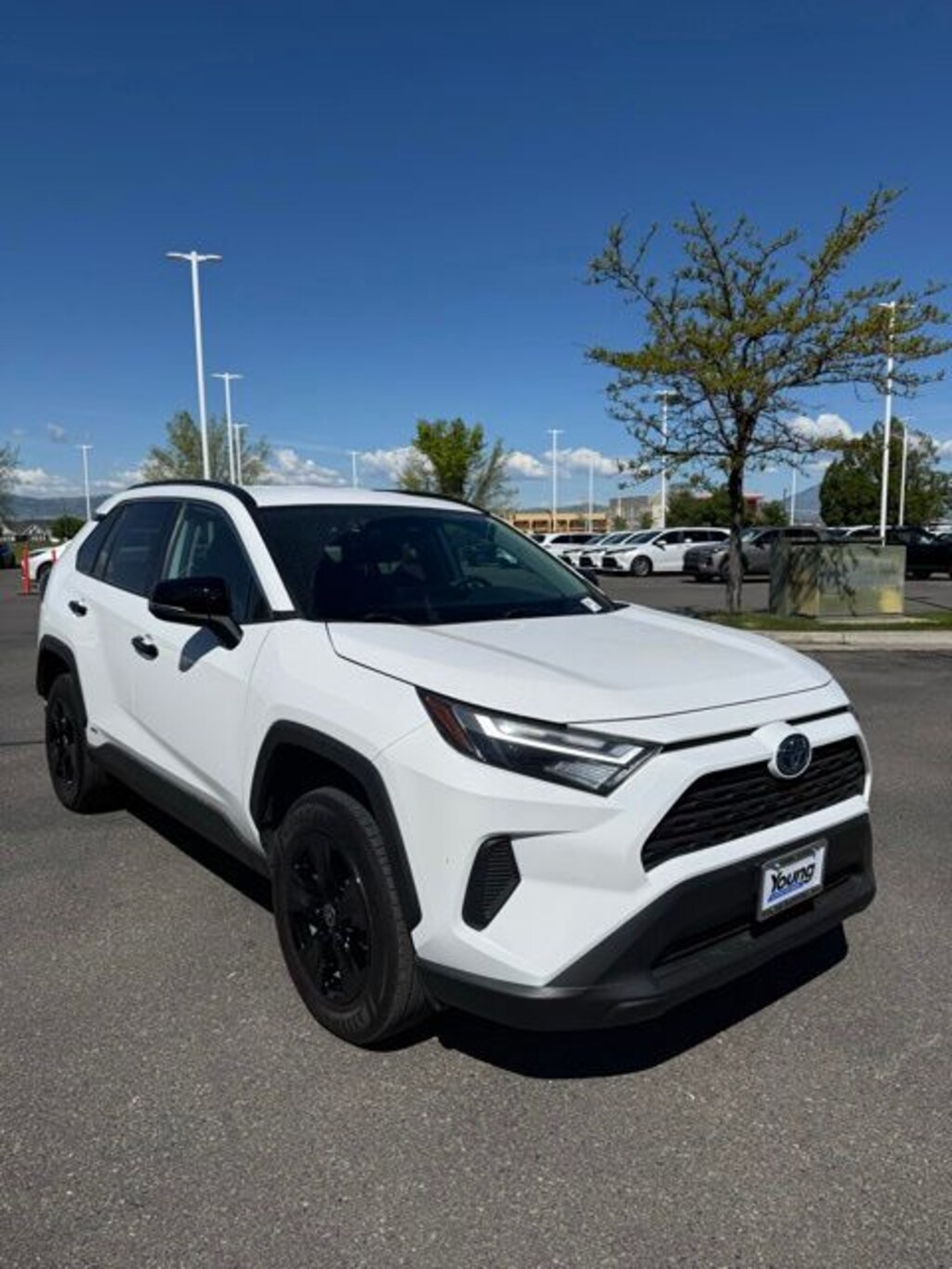 Used 2024 Toyota RAV4 Hybrid LE SUV