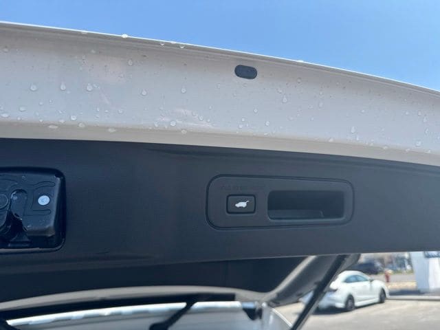 2025 Honda Pilot TrailSport - Photo 40