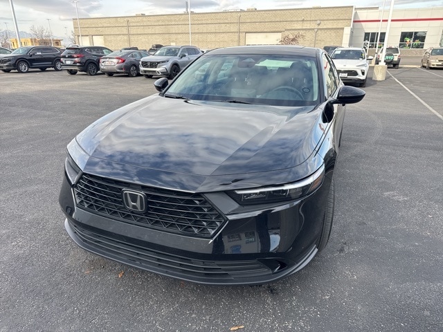 2024 Honda Accord EX's photo