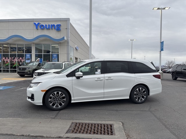 2026 Honda Odyssey Elite's photo