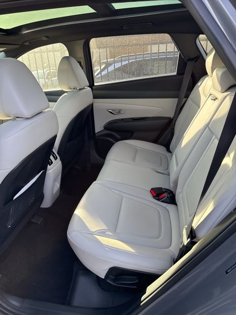 2025 Hyundai Tucson Limited - Photo 11