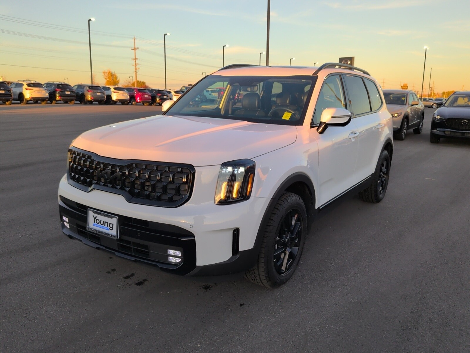2025 Kia Telluride X-Pro photo 3