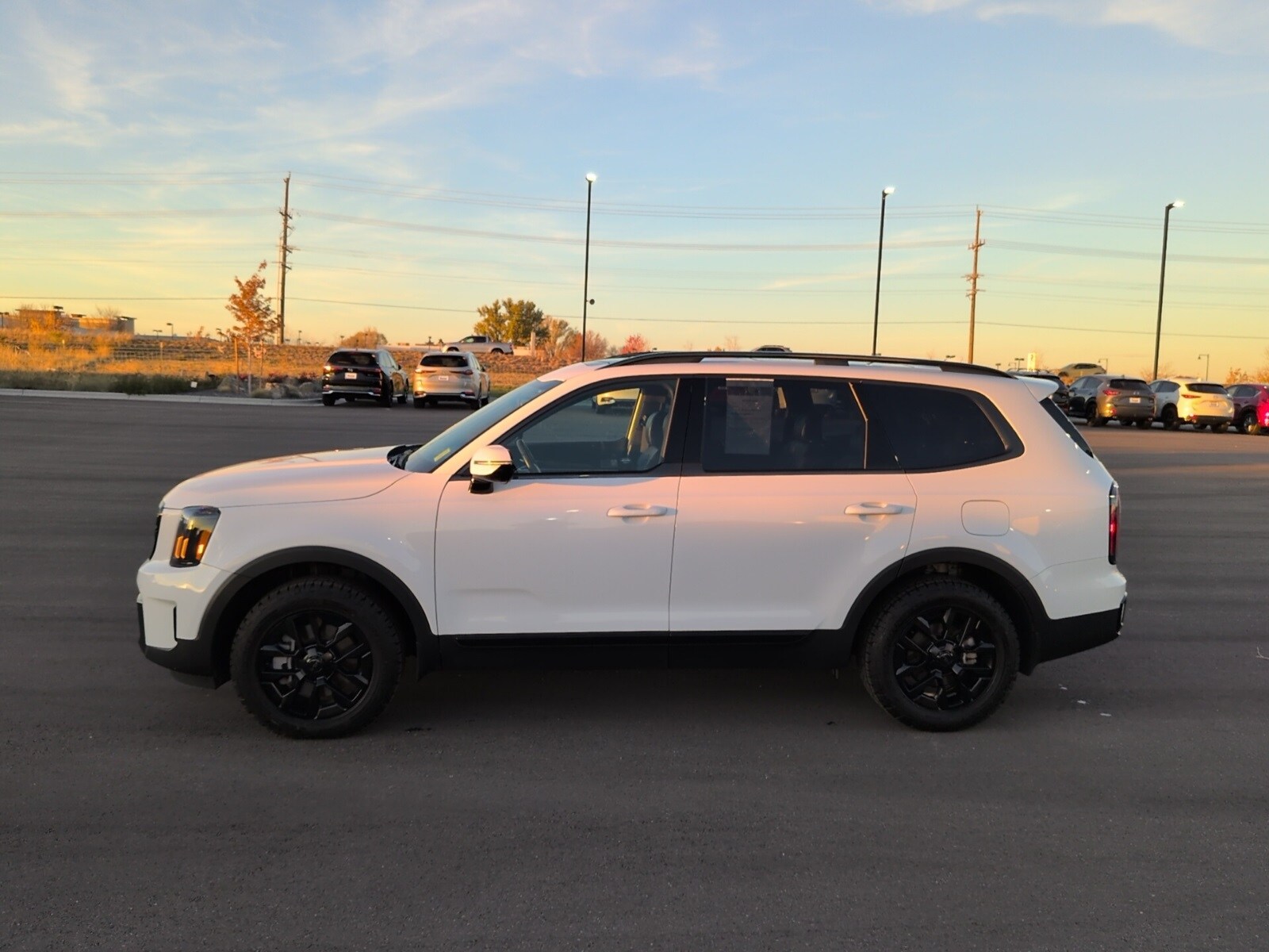 2025 Kia Telluride X-Pro photo 4