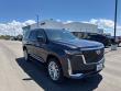 Used 2024 Cadillac Escalade Premium Luxury SUV