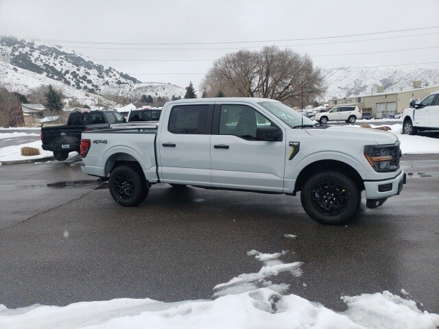 2025 Ford F-150 STX photo 3