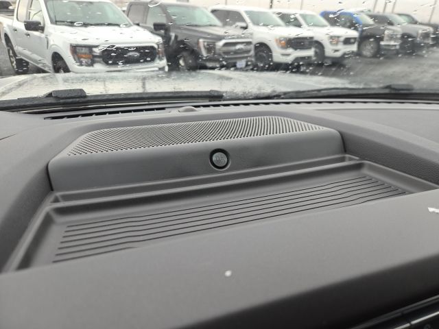 2026 Ford F-350 Super Duty Platinum - Photo 21