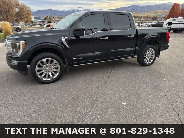 2021 Ford F-150 Limited's photo