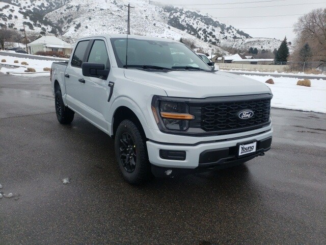 2025 Ford F-150 STX photo 2