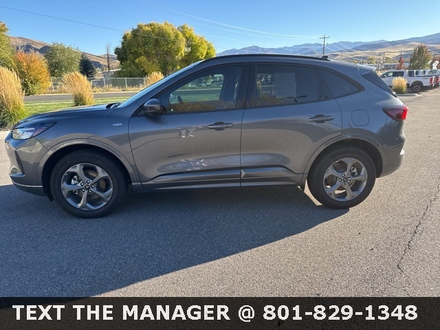 2024 Ford Escape ST-Line Select's photo
