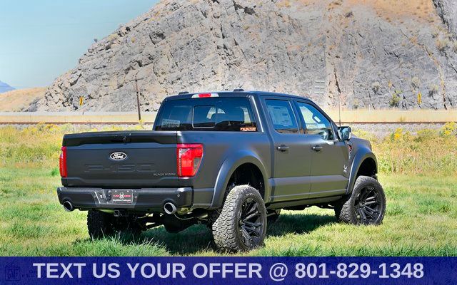 2025 Ford F-150 XLT - Photo 6