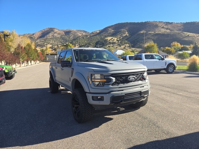 2025 Ford F-150 XLT's photo