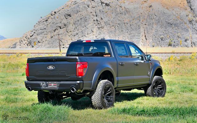 2025 Ford F-150 XLT - Photo 6