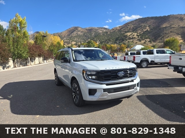 2025 Ford Expedition Platinum's photo