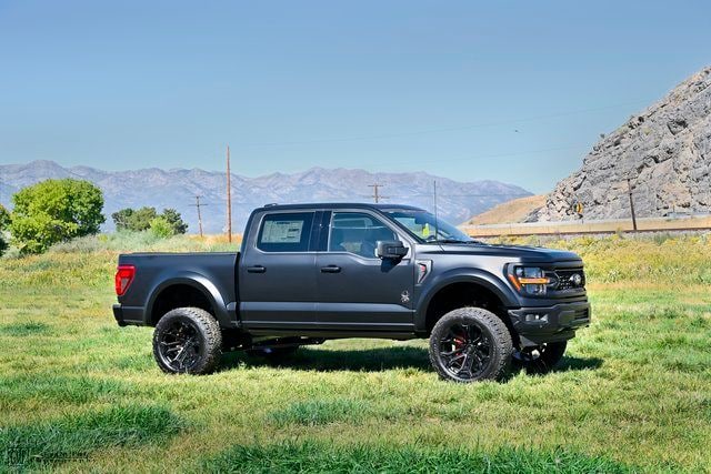 2025 Ford F-150 XLT - Photo 8