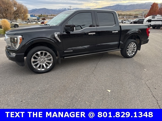 2021 Ford F-150 Limited's photo