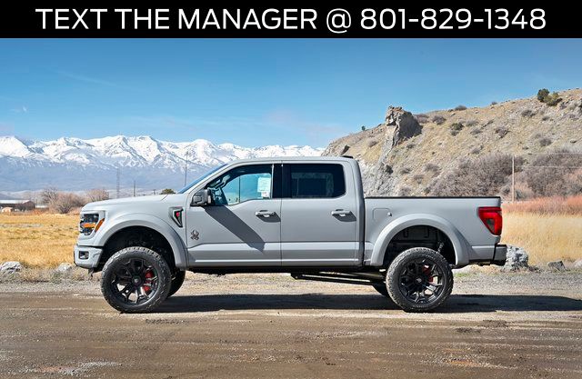 2025 Ford F-150 XLT - Photo 6