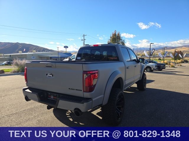 2025 Ford F-150 XLT - Photo 24