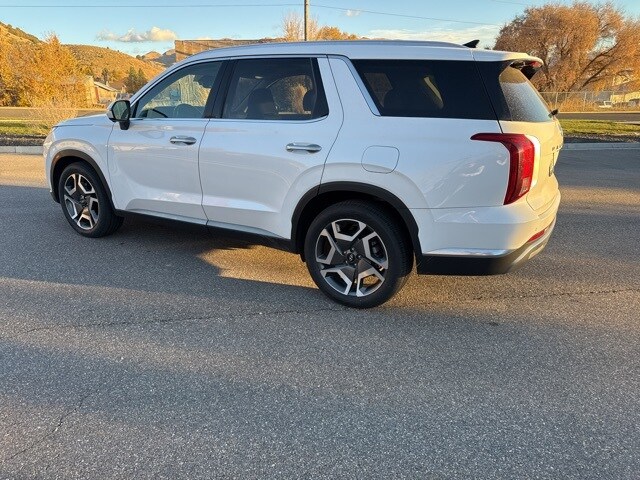 2023 Hyundai Palisade Limited photo 3