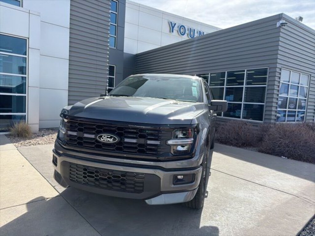 New 2025 Ford F-150 STX Truck