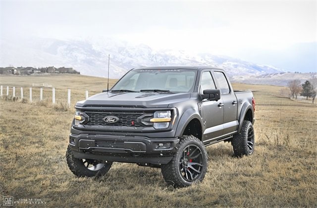2024 Ford F-150 XLT's photo