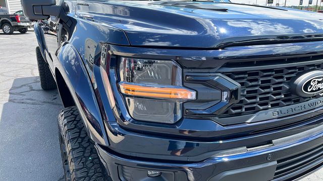 2025 Ford F-150 XLT - Photo 10