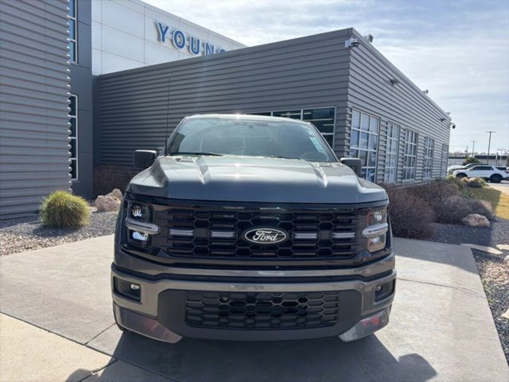 New 2025 Ford F-150 STX Truck
