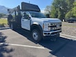 Ford F-550 Chassis