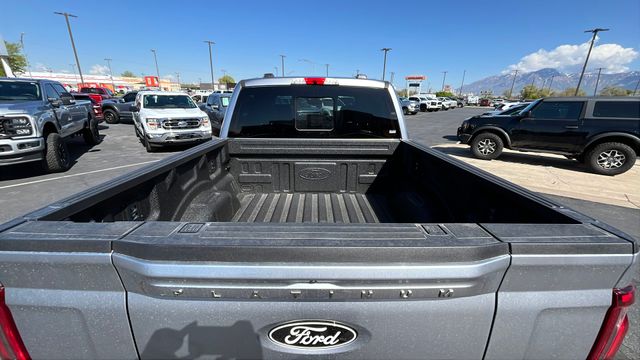 2025 Ford F-150 Platinum - Photo 18