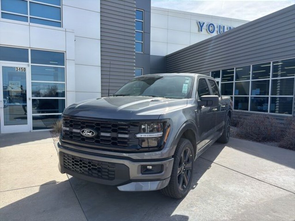 New 2025 Ford F-150 STX Truck