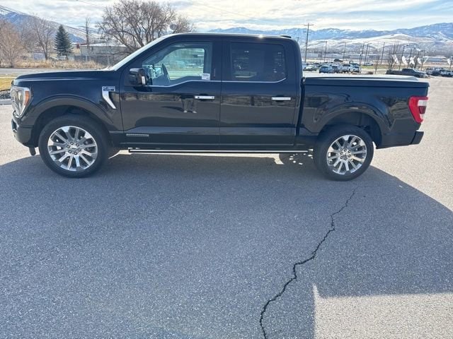 2021 Ford F-150 Limited 4x4 SuperCrew 5-1/2 Box's photo