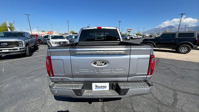 2025 Ford F-150 Platinum - Photo 21