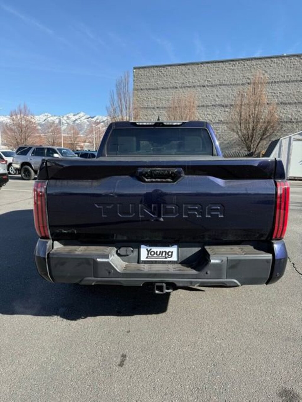 Used 2025 Toyota Tundra Limited Truck