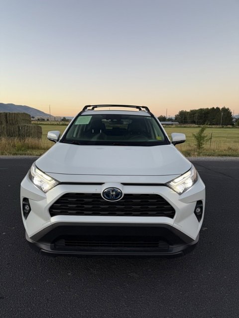 2023 Toyota RAV4 Hybrid XLE Premium photo 2