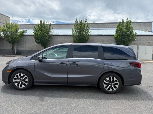 2025 Honda Odyssey EX-L's photo