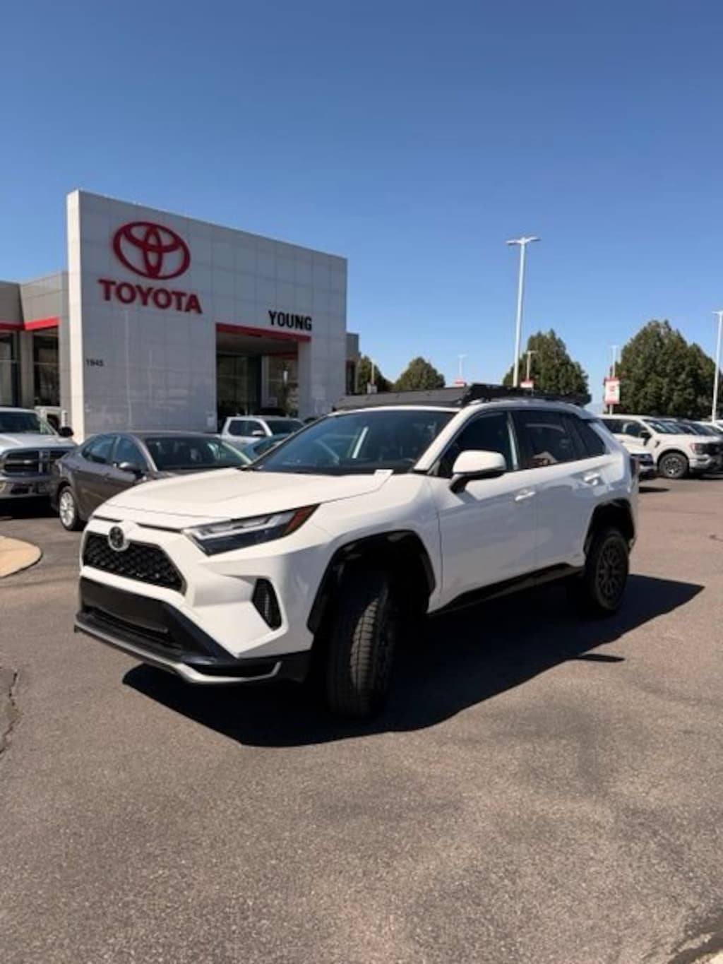 Used 2025 Toyota RAV4 Plug-In Hybrid SE Sport Utility