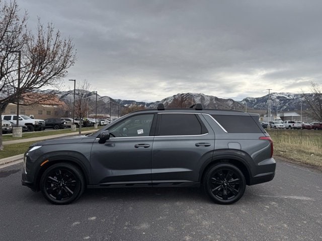 2023 Hyundai Palisade XRT's photo