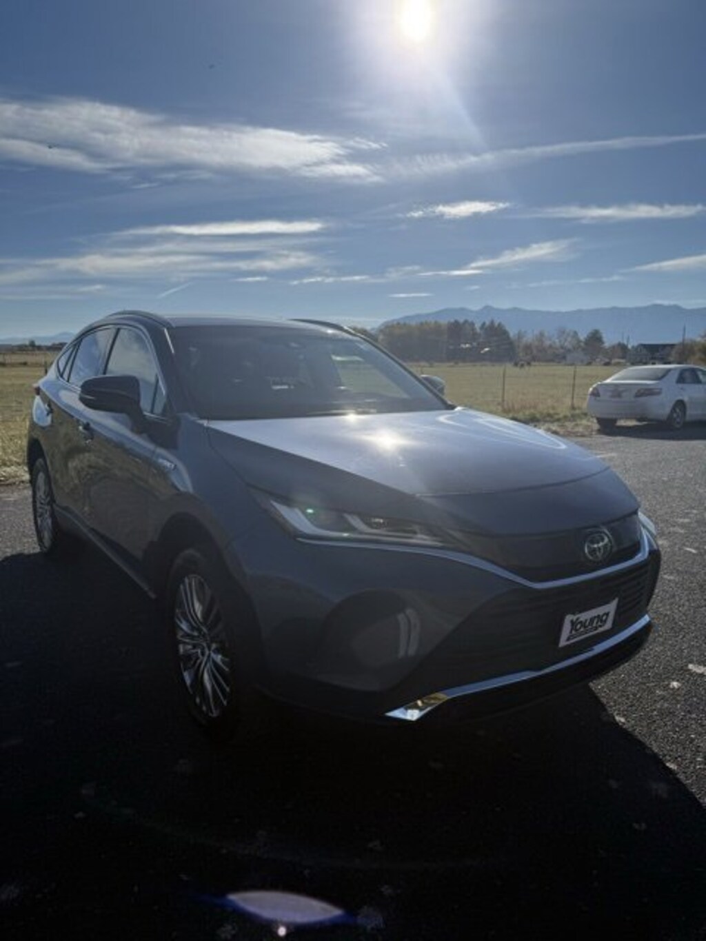 Used 2021 Toyota Venza  Sport Utility