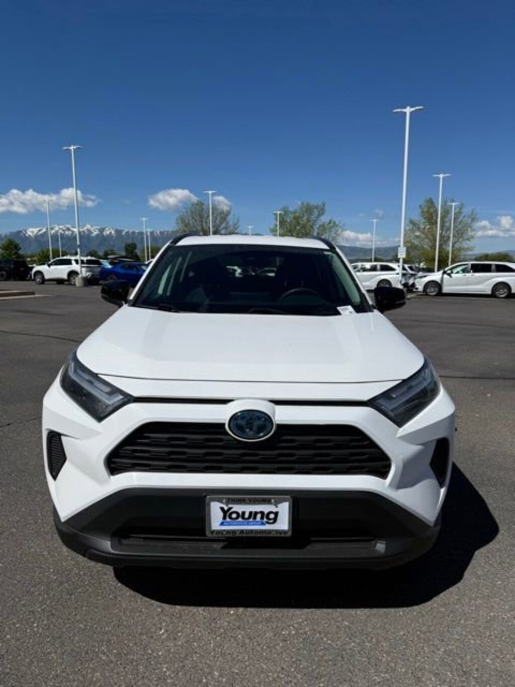 Used 2024 Toyota RAV4 Hybrid LE Sport Utility