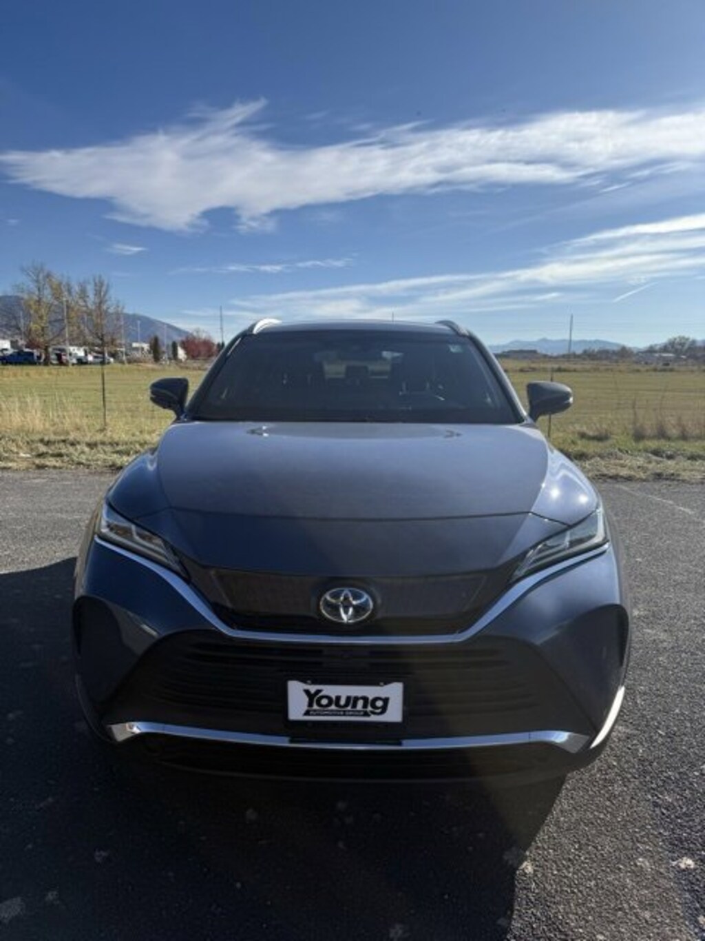 Used 2021 Toyota Venza  Sport Utility