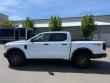 Used 2024 Ford Ranger XLT Truck