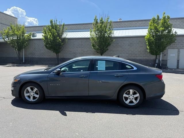 2019 Chevrolet Malibu 1FL (Fleet)'s photo
