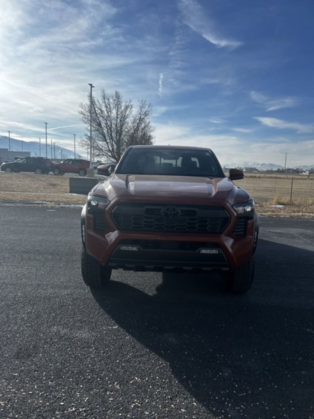 New 2025 Toyota Tacoma TRD Off Road Double Cab 5' Bed AT Truck Double Cab